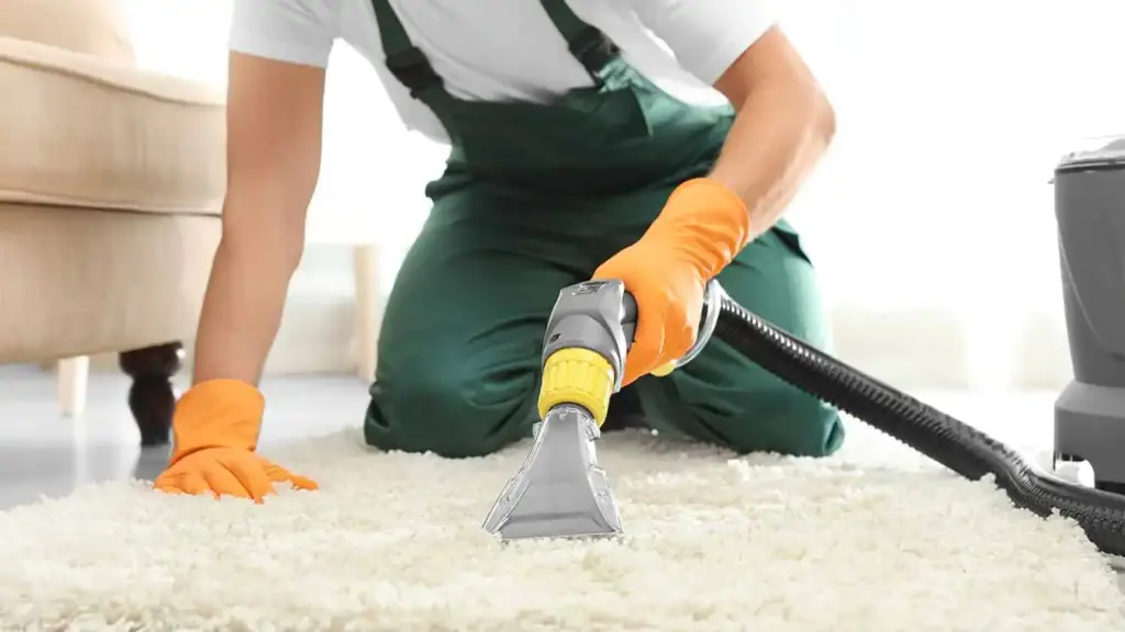 Carpet cleaning