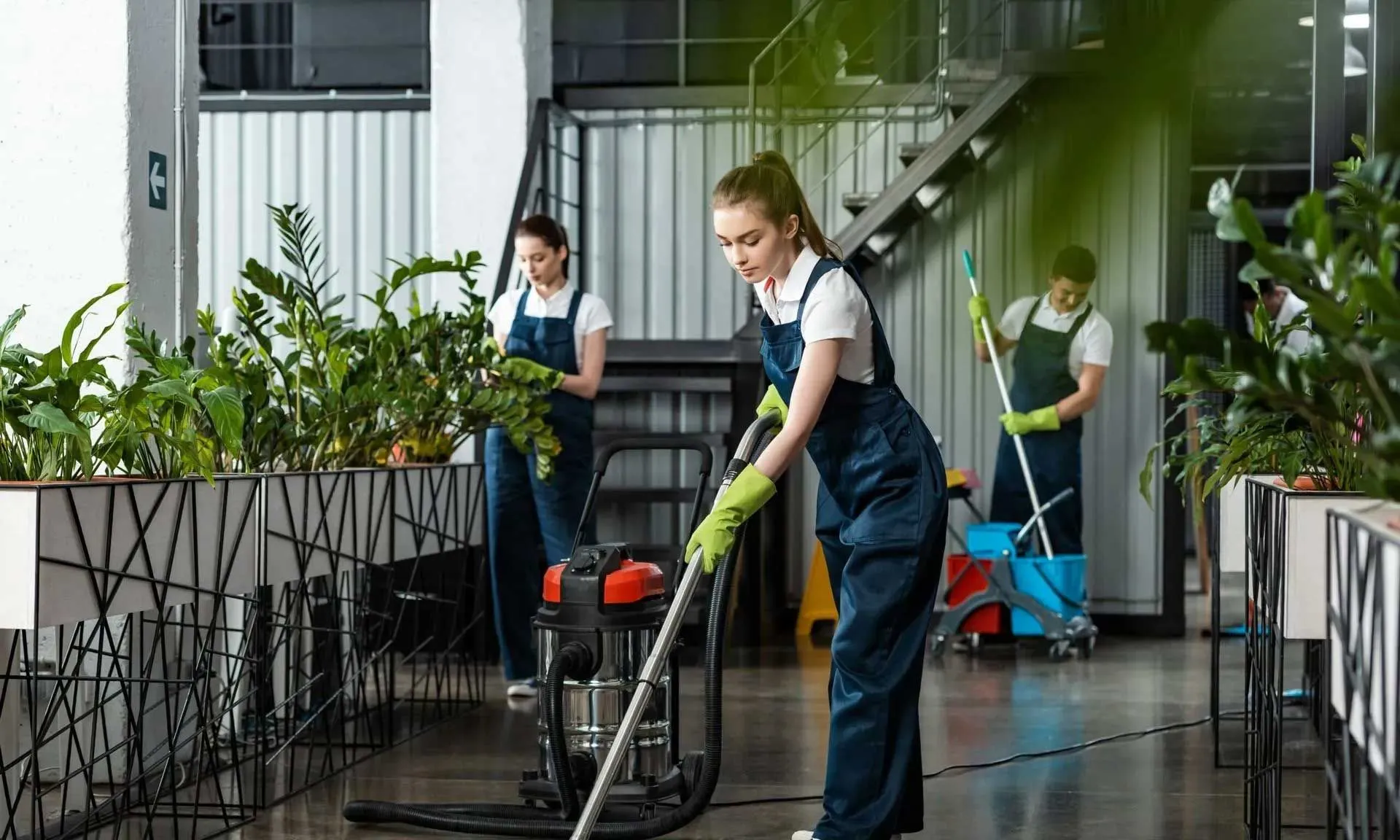 Commercial Cleaning Services