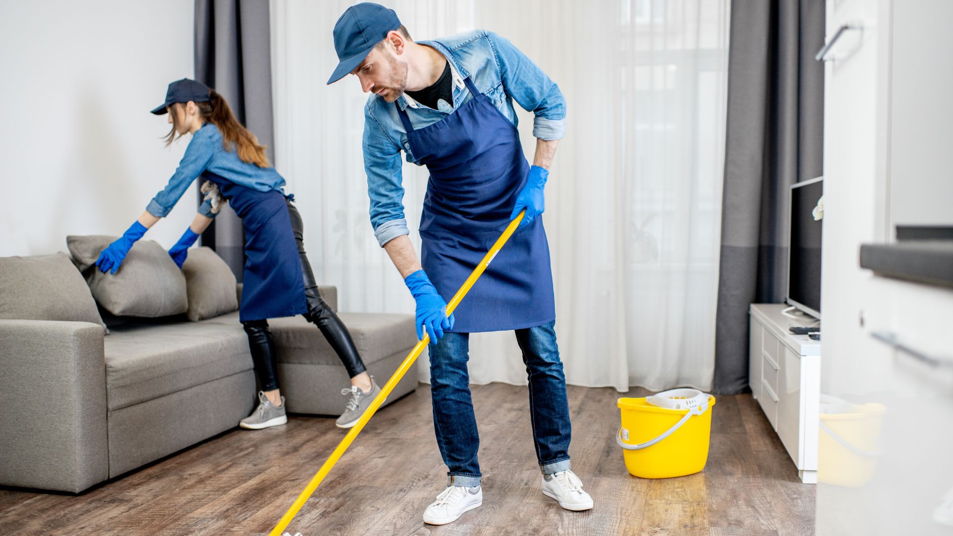 Professional cleaning services